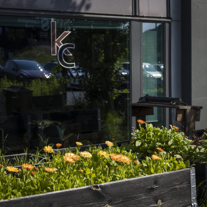 KC_garden-9